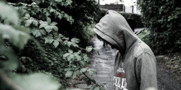 zdjęcie ilustracyjne/Pixabay