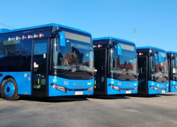 fot. Zielonogórska Komunikacja Powiatowa