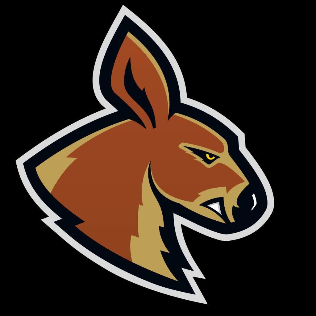 KK Oleśnica kolejnym rywalem Kangoo