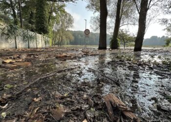 fot. Krzysztof Filmanowicz