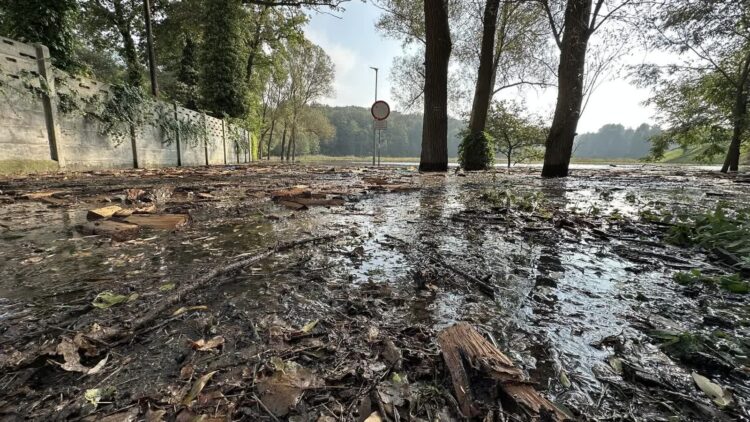 fot. Krzysztof Filmanowicz