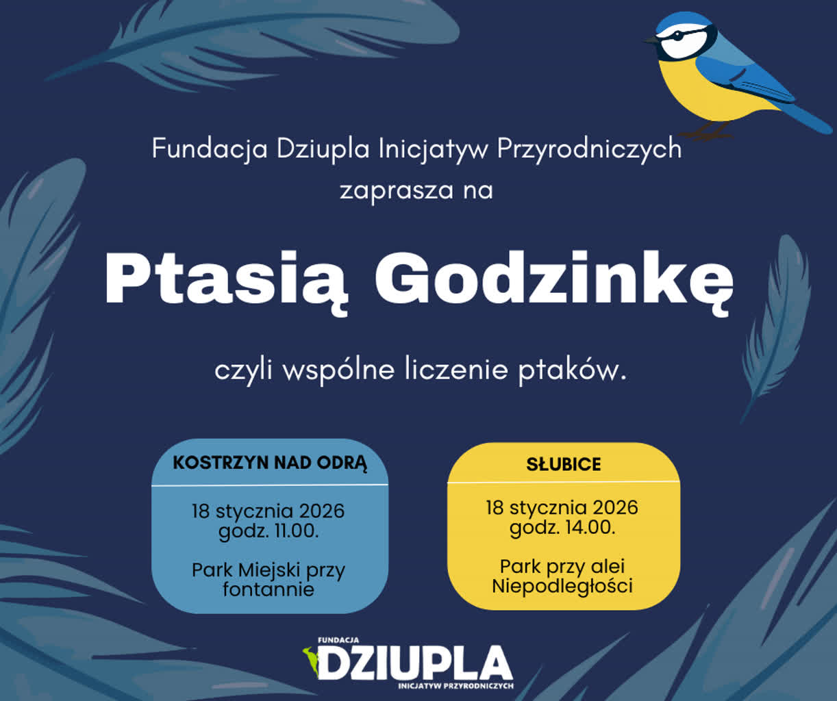 Ptasia godzinka Fb.png