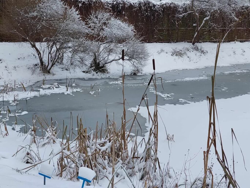 archiwum: fot. P.Kozubaj