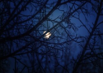 Zdjęcie ilustracyjne. Fot. Pixabay