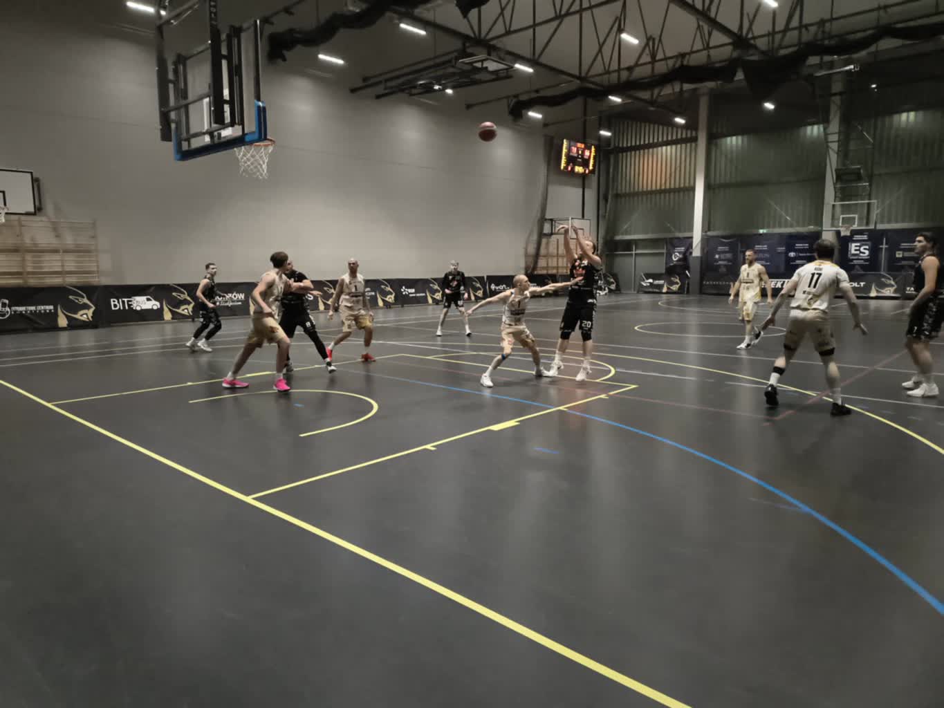 Kangoo nie zwalniają tempa