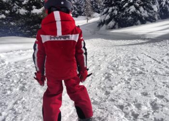 Zdjęcie ilustracyjne. Fot. Pixabay