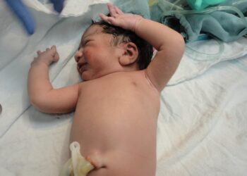 Zdjęcie ilustracyjne. Fot. Pixabay