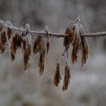 Zdjęcie ilustracyjne. Fot. Pixabay