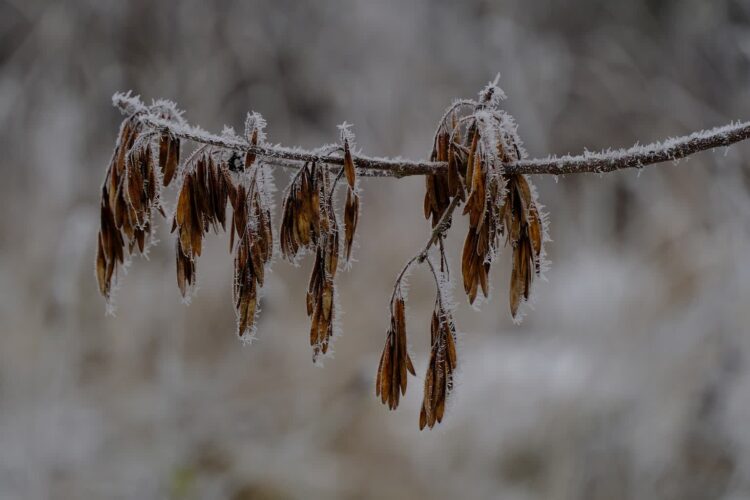 Zdjęcie ilustracyjne. Fot. Pixabay