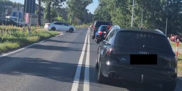 archiwum RZG fot: B.Schaefer