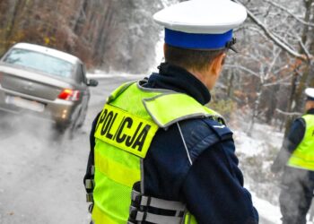 zdjęcie ilustracyjne (Lubuska Policja)