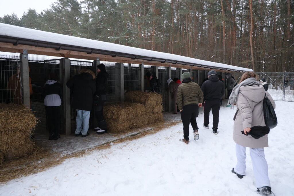 SOBOLEW PIKIETA POD SCHRONISKIEM HAPPY DOG. Fot. PAP/Paweł Supernak