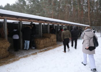 SOBOLEW PIKIETA POD SCHRONISKIEM HAPPY DOG. Fot. PAP/Paweł Supernak