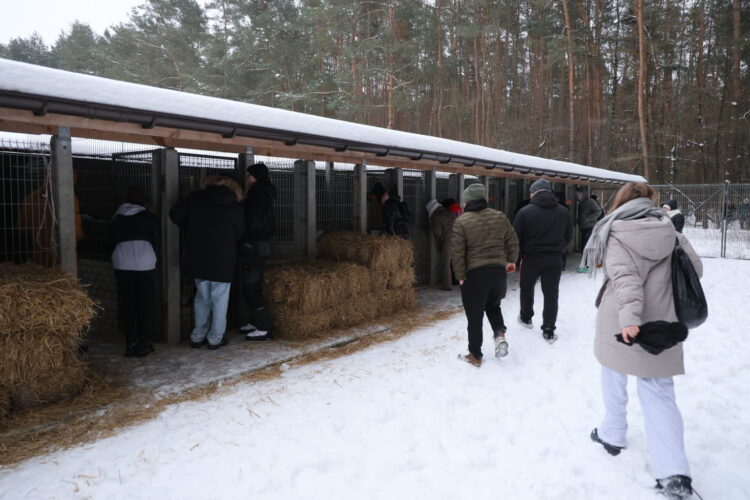 SOBOLEW PIKIETA POD SCHRONISKIEM HAPPY DOG. Fot. PAP/Paweł Supernak