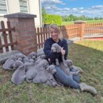 B.Bielak ze szczeniakami