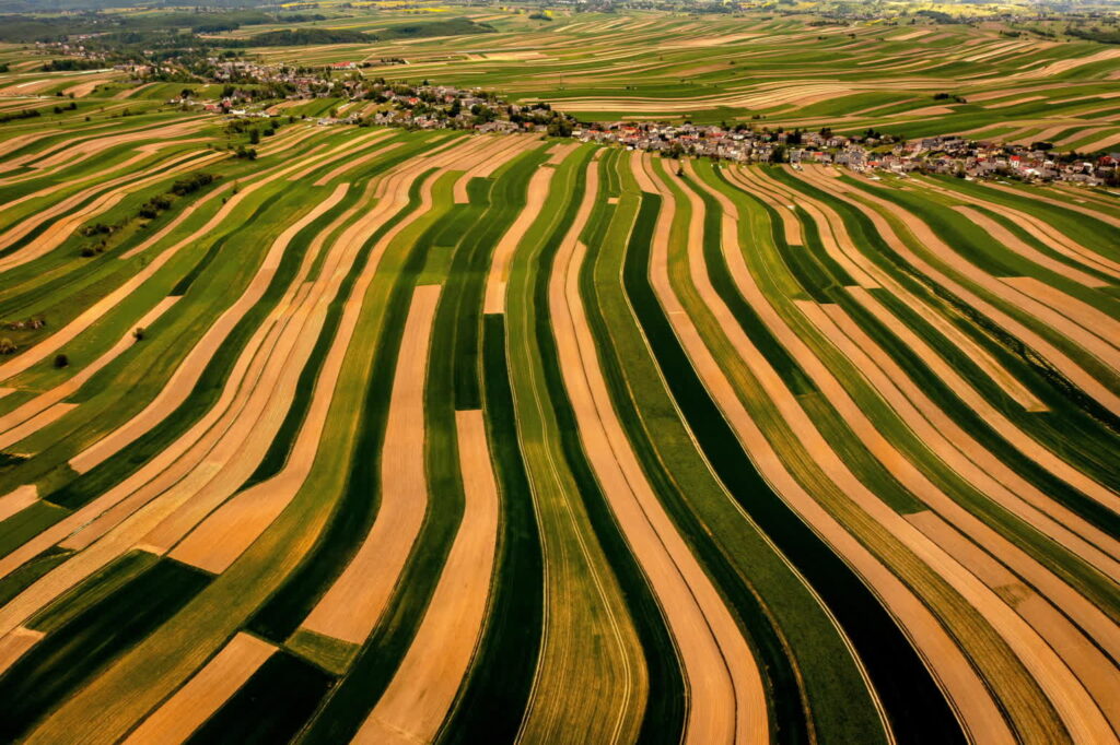 Pola uprawne w woj. małopolskim (PAP/Łukasz Gągulski)