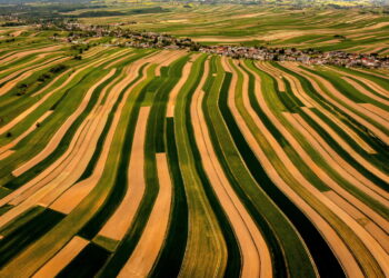 Pola uprawne w woj. małopolskim (PAP/Łukasz Gągulski)