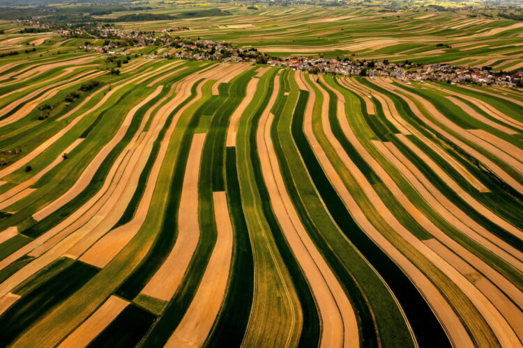 Pola uprawne w woj. małopolskim (PAP/Łukasz Gągulski)