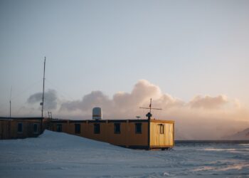 Fot. Arctowski Polish Antarctic Station/FB