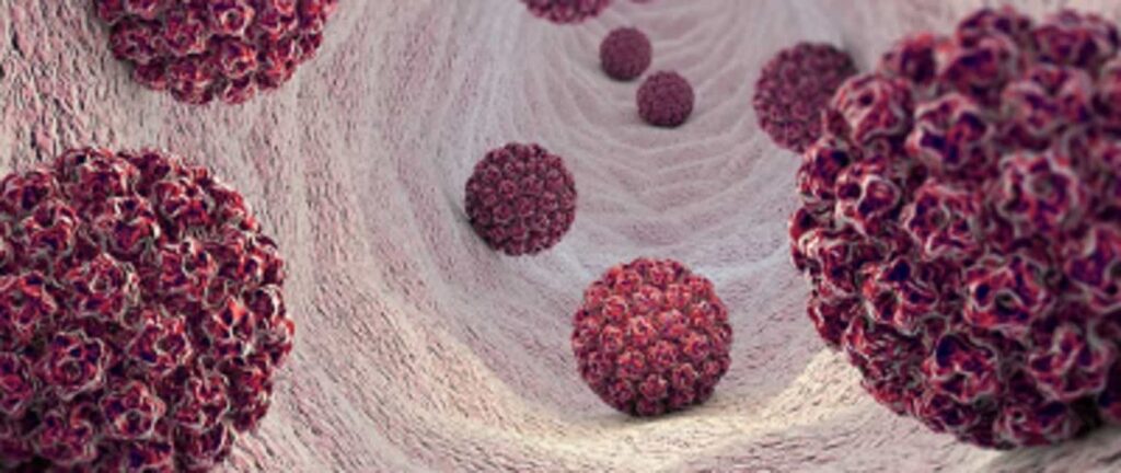 zdjęcie ilustracyjne fot: FB Szpital Uniwersytecki w Zielonej Górze