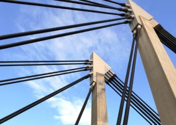 zdjęcie ilustracyjne/Pixabay