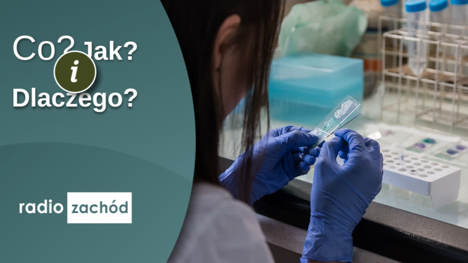 Nowe diagnozy chorób mózgu