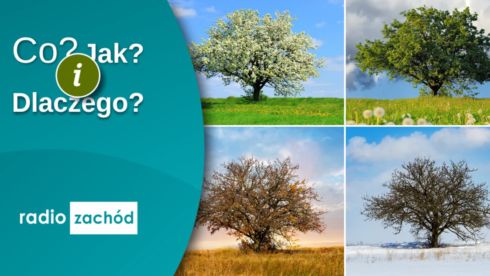 Zarządzanie zasobami wodnymi