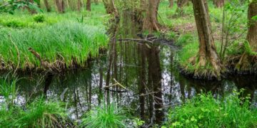 fot. Park Narodowy Ujście Warty