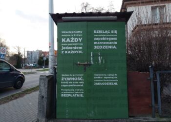 fot. zdjęcie poglądowe/RZ/P. Kozubaj/archiwum