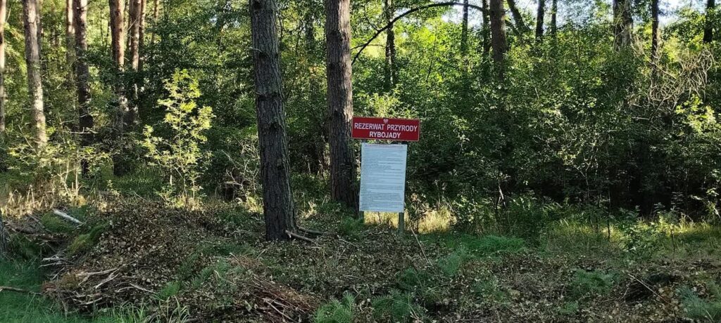 fot. WFOŚiGW w Zielonej Górze