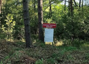 fot. WFOŚiGW w Zielonej Górze