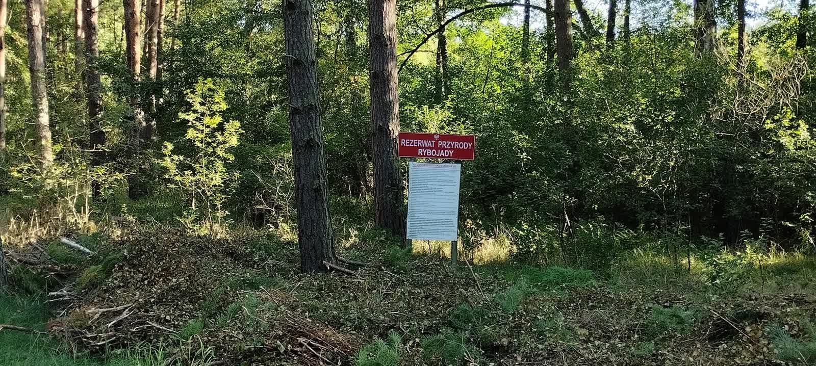 Trzciel liczy na retencję