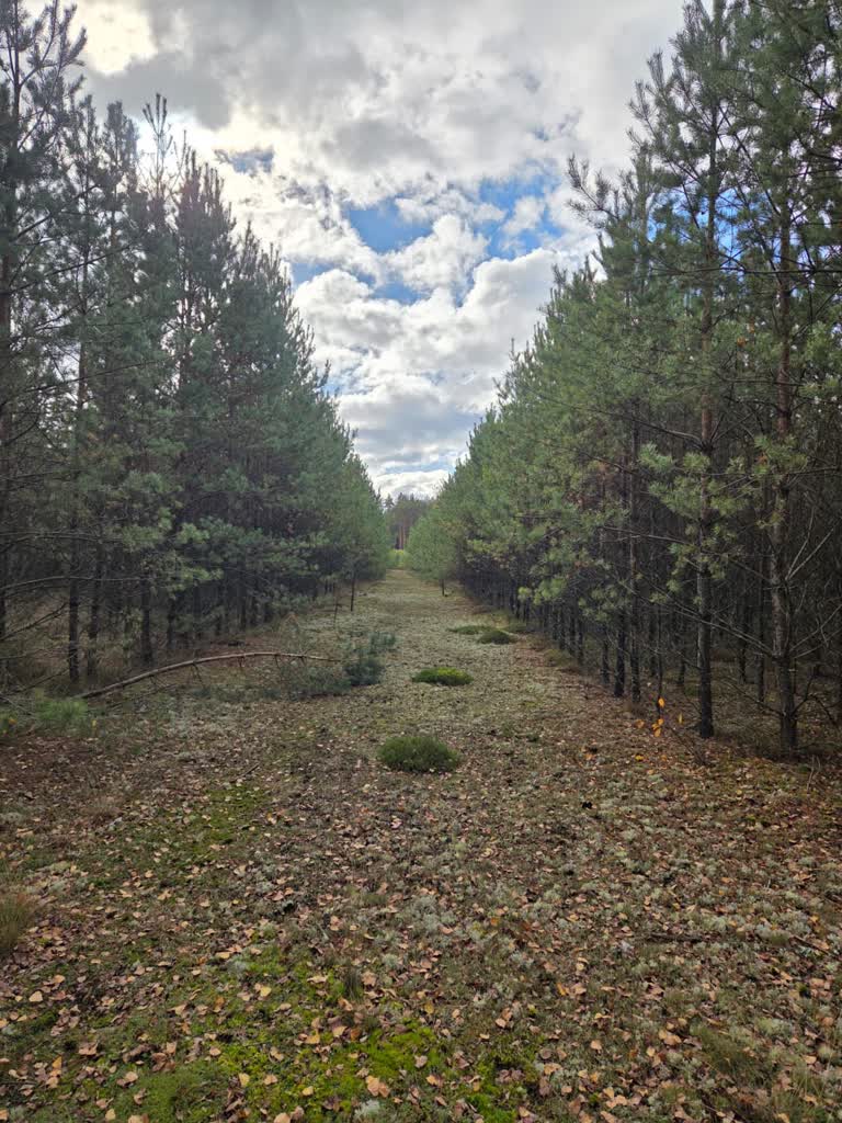 Skwierzyna rozkręca ścieżki rowerowe