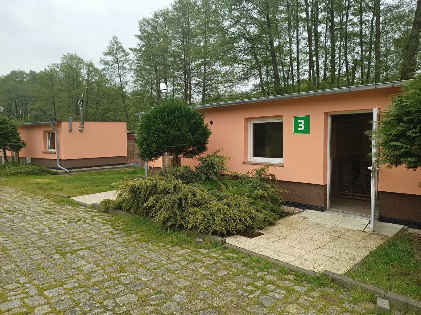 Żarskie schronisko przyjmuje psy z 12 gmin