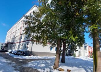 fot. Szkoła Podstawowa nr 3 w Międzyrzeczu