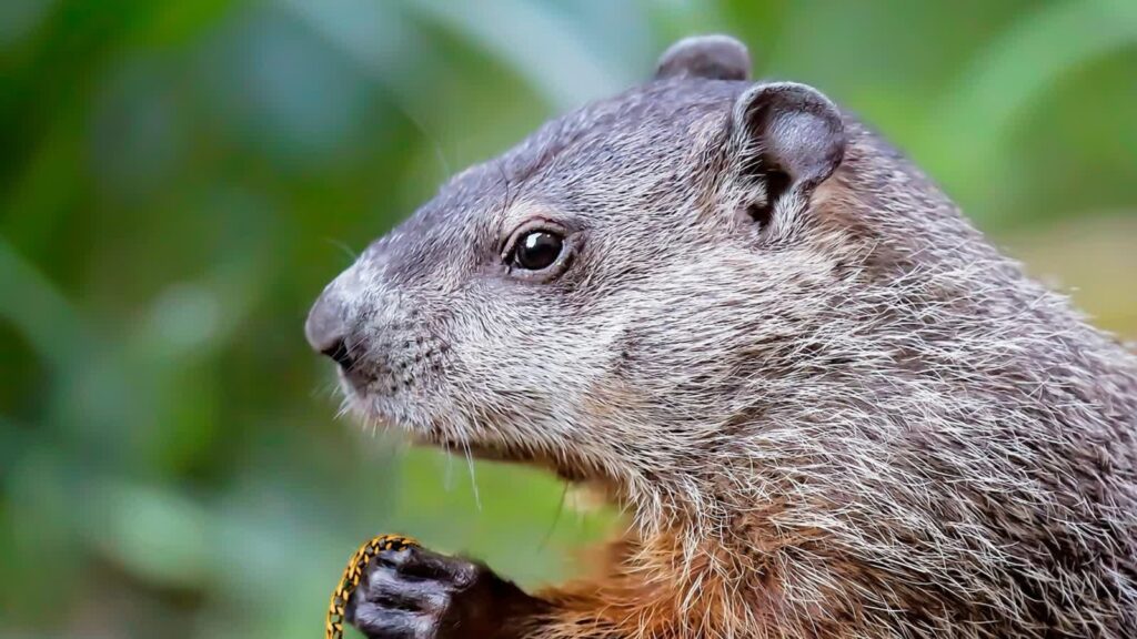 Zdjęcie ilustracyjne. Fot. Pixabay