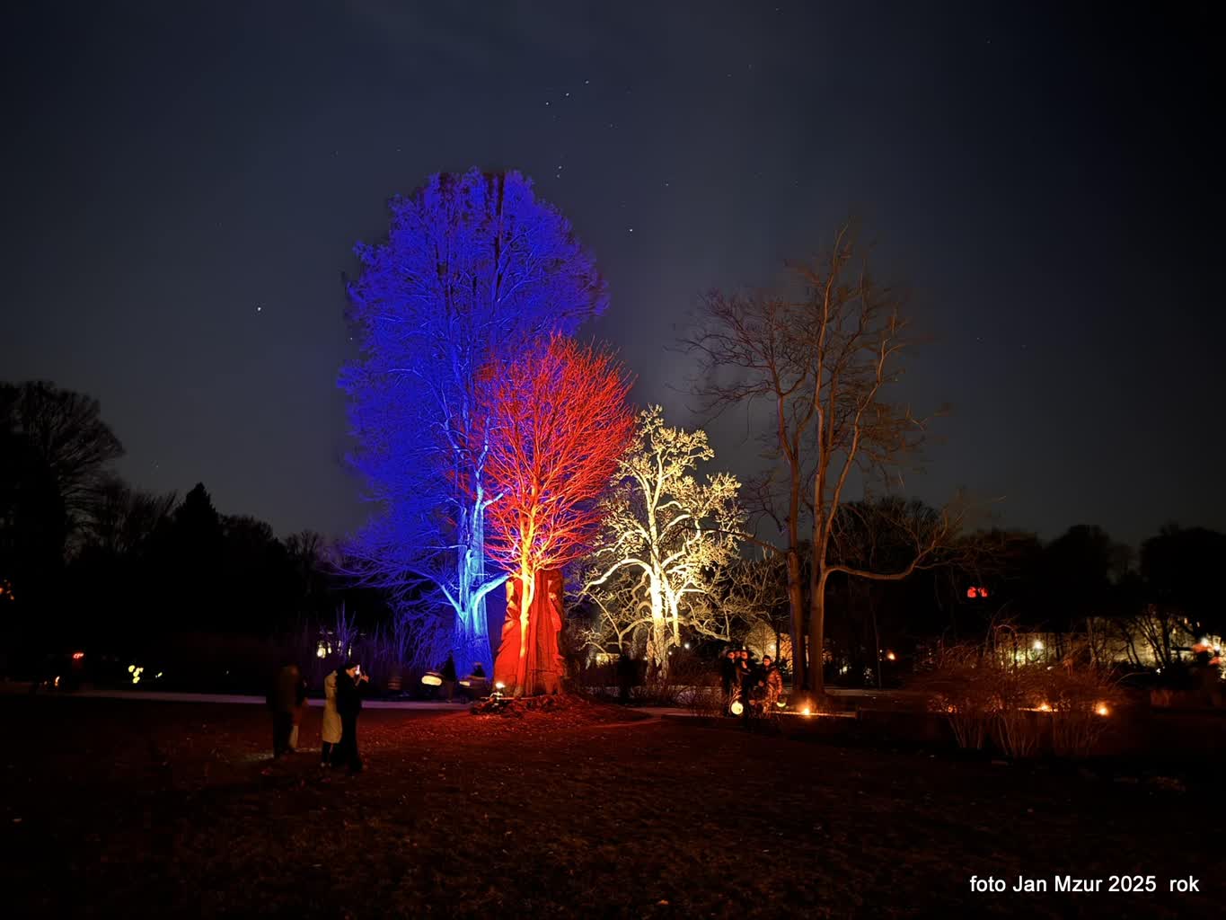 Żagański Festiwal Zimowych Świateł