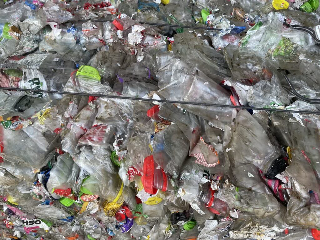 fot. Aurelia Adaszyńska