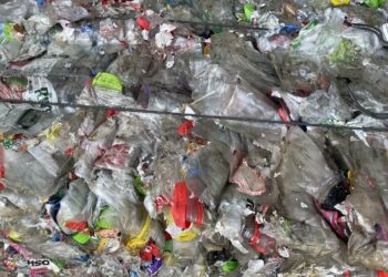 fot. Aurelia Adaszyńska