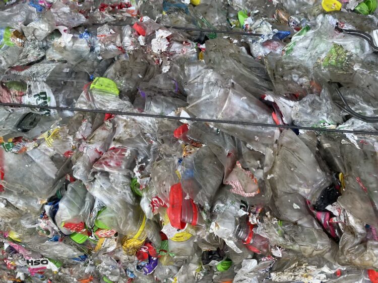 fot. Aurelia Adaszyńska