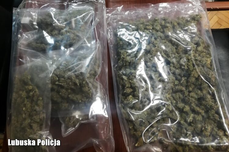 fot. Lubuska Policja