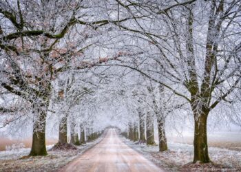 Zdjęcie ilustracyjne. Fot. Pixabay