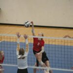 Ilustracja poglądowa / Canva