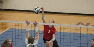 Ilustracja poglądowa / Canva