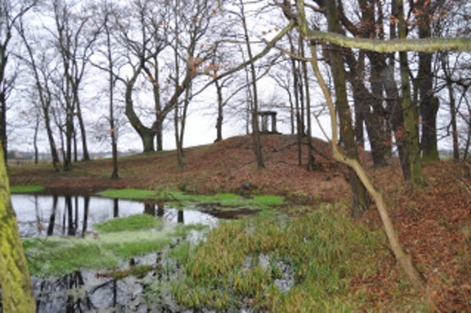 Park wyzwaniem gminy Trzebiechów