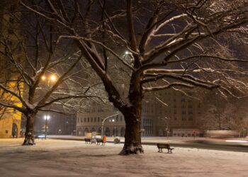 Zdjęcie ilustracyjne. Fot. Pixabay