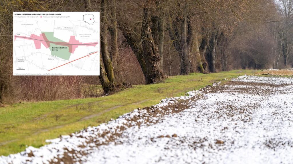 Zdjęcie ilustracyjne. Fot. Pixabay i PAP