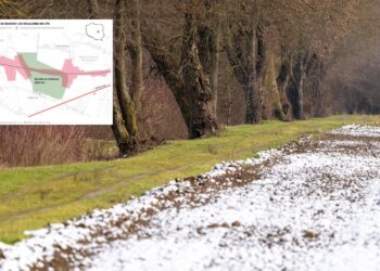 Zdjęcie ilustracyjne. Fot. Pixabay i PAP