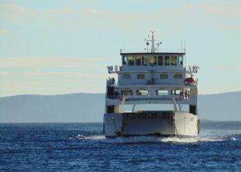 Zdjęcie ilustracyjne. Fot. Pixabay