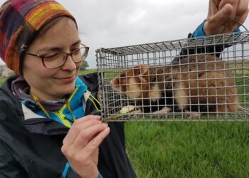 Dr Urszula Eichert z chomikiem europejskim fot. archiwum domowe